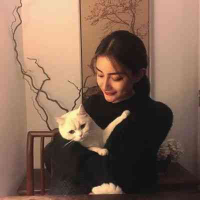 美女猫咪微信头像图片大全 第8张