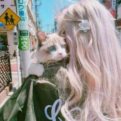美女猫咪微信头像图片大全 第9张