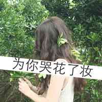 唯美头像背影女气质 第18张