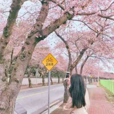 微信头像图片女背影伤感 第11张