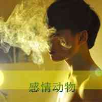 头像越怪长得越帅动物男生 第3张