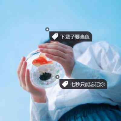 女生头像电影 第8张