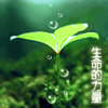 头像可爱卡通 第5张