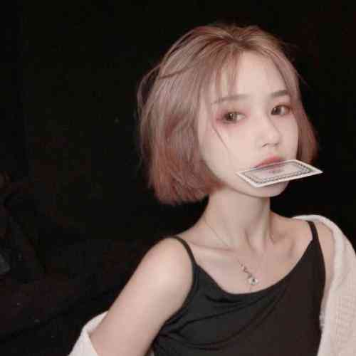 女生头像ins高级质感干净猫 第3张